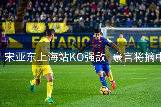 宋亚东上海站KO强敌 豪言将摘中国首条UFC金腰带